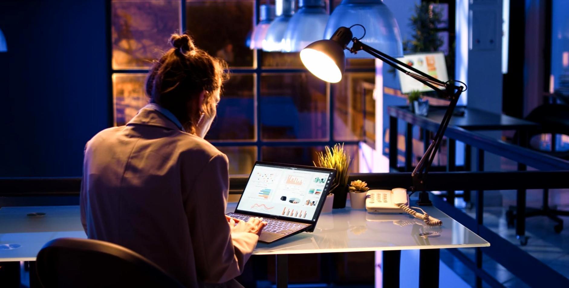 Authorization systems development workspace